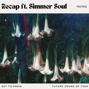 Recap (feat. Simmer Soul) - Single