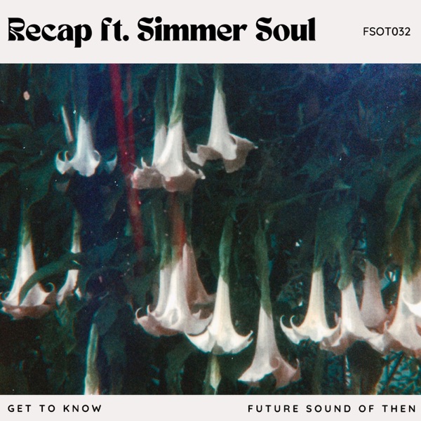Recap (feat. Simmer Soul) - Single