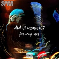 did U mean it? (feat. Pavy) - Single - SPKR