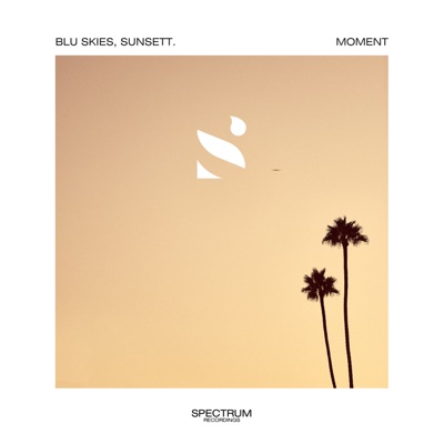 Moment - Single