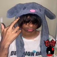 Certified Scammer - Single - elmx