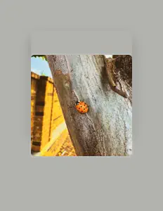 Escucha a S!D, mira vídeos musicales, lee la biografía, consulta fechas de giras y mucho más.