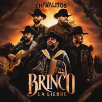 Brinco La Liebre
