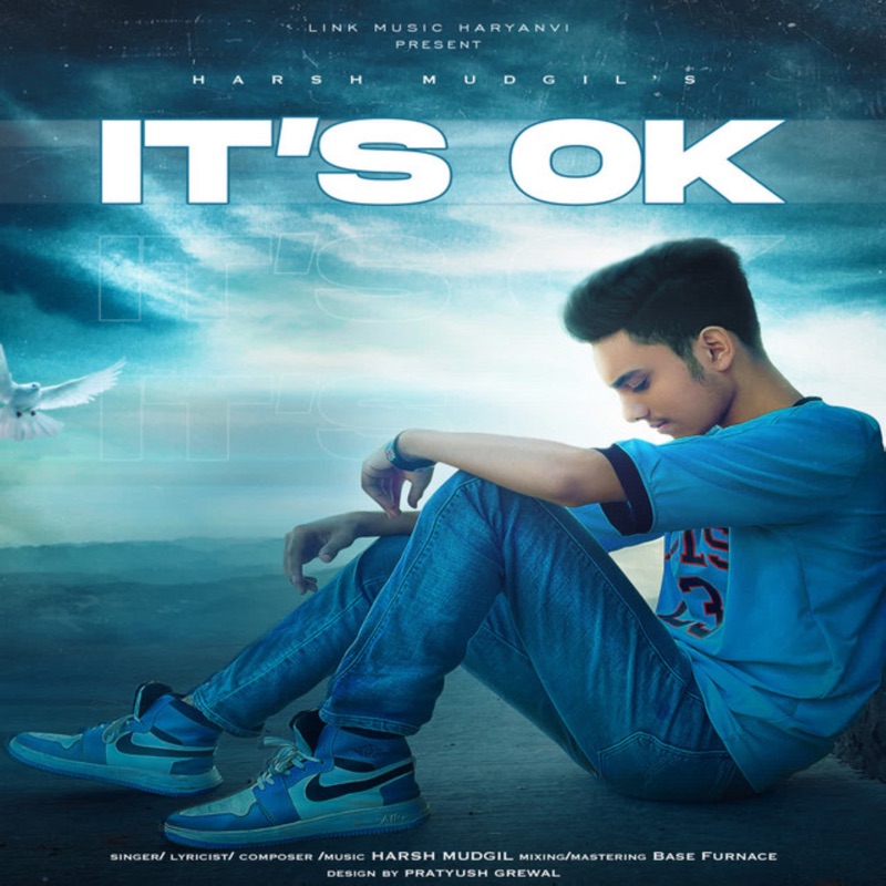 It's Ok - Single