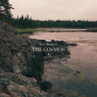 The Cosmos