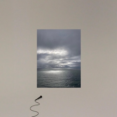 Du, der Wels und Ich - Single