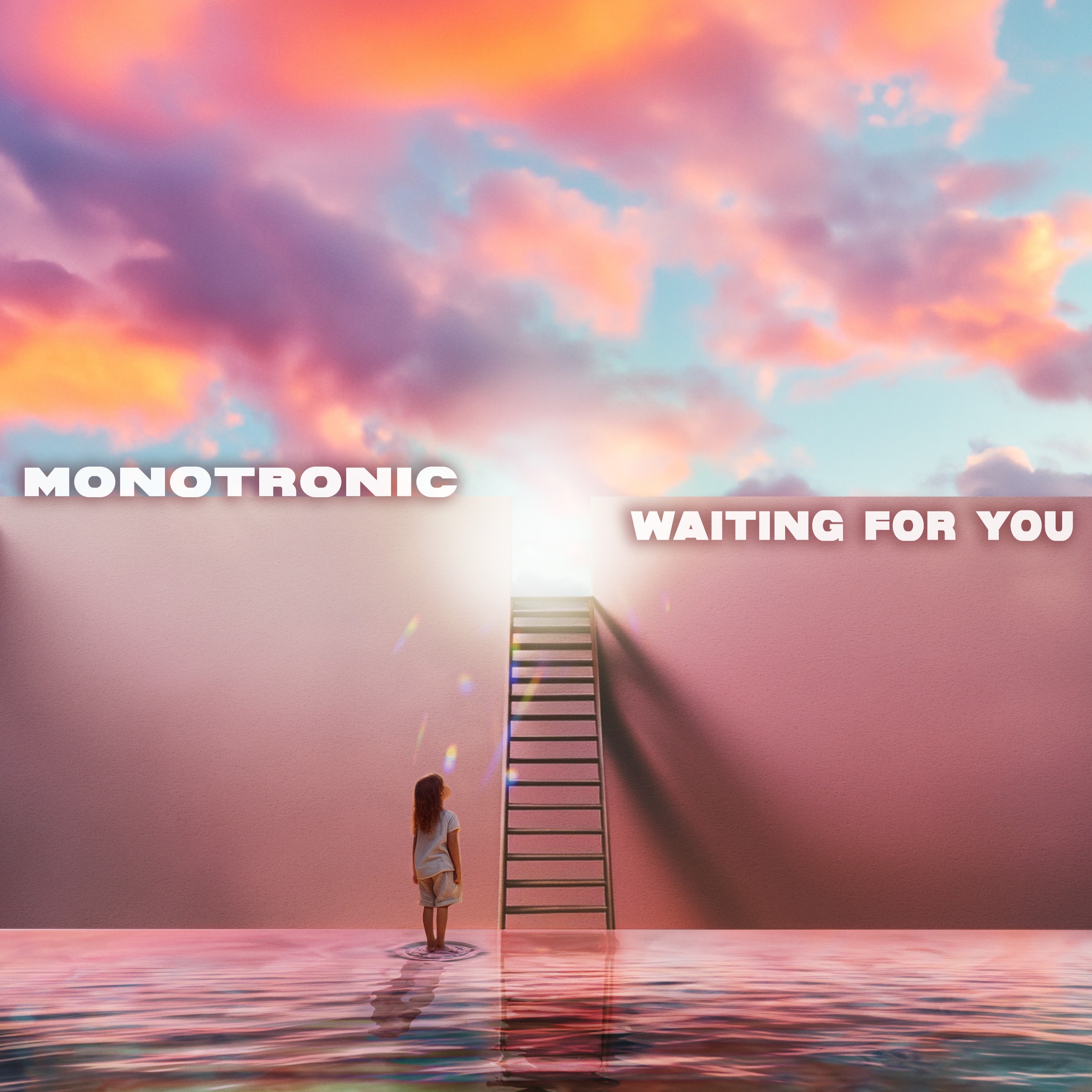 Monotronic - Photograph