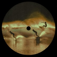 Je te Perd - Single - dentist & Concord