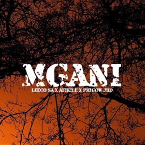 Mgani