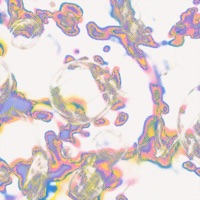 MEMBRANE - Single - Jboi