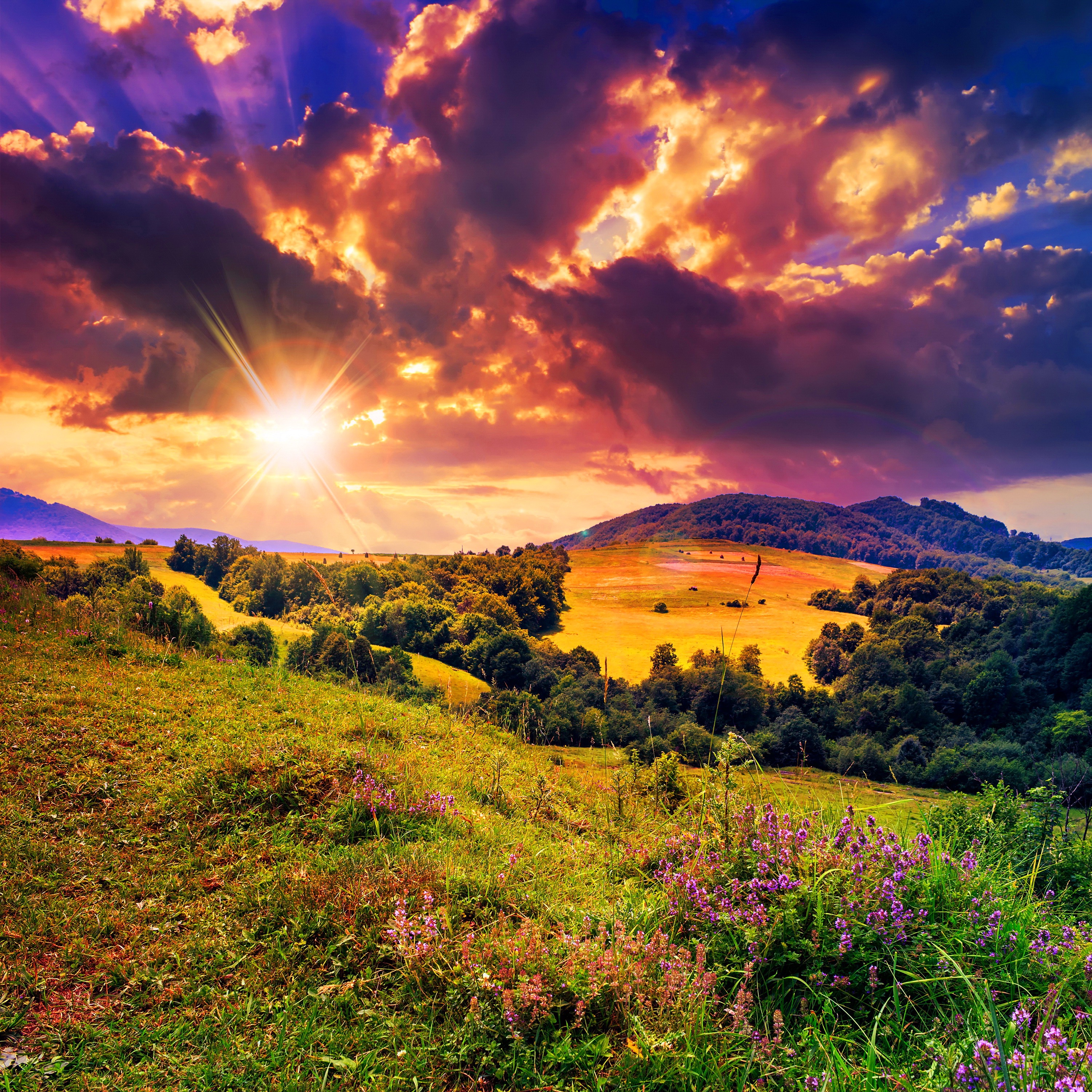 Bruce Howard - The Rock Show