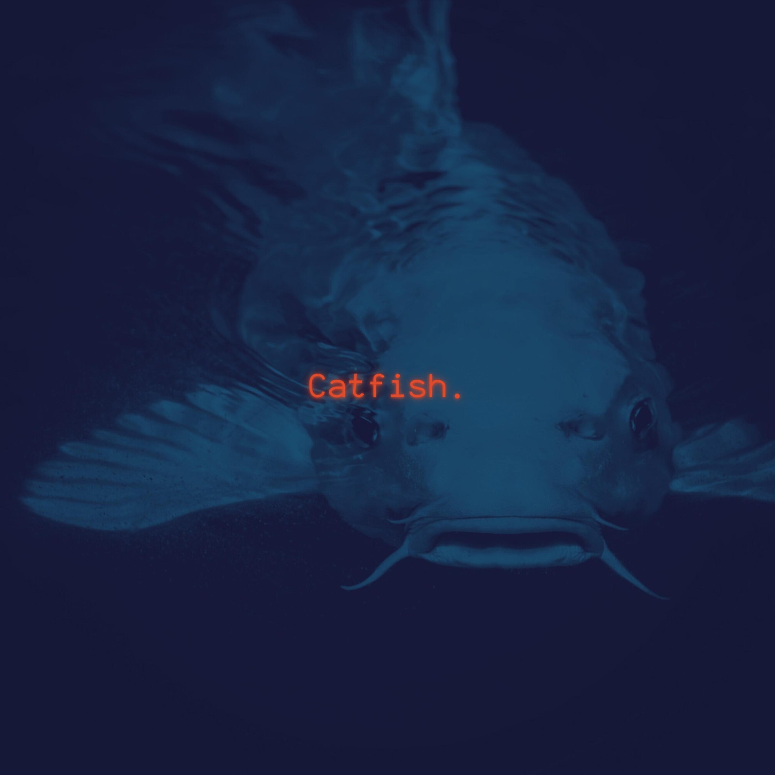 Catfish - Single