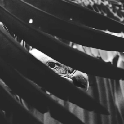 Talon's (feat. Art.Carter) - Single