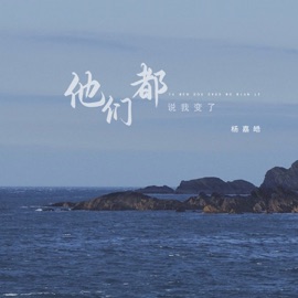 他们都说我变了 (Dj彭锐版) 杨嘉皓