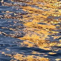 Deathwatch Beetle - Single - Profibus