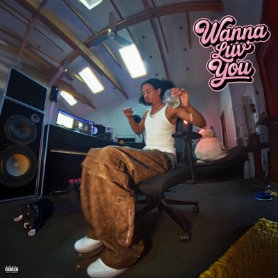Wanna Luv You - Single