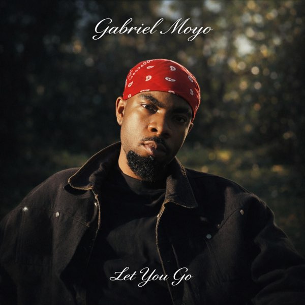 Let you go - Single - Album by SG Musiq Int - Apple Music