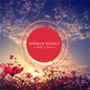 In Search of Sunrise 20 - Markus Schulz