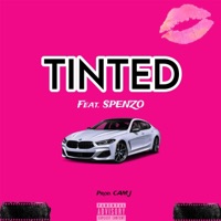 TINTED (feat. Spenzo) - Single - 3amParadise
