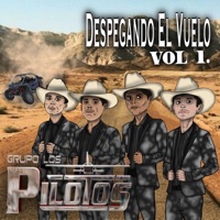 Despegando El Vuelo Vol 1. - Single - Grupo Los Pilotos