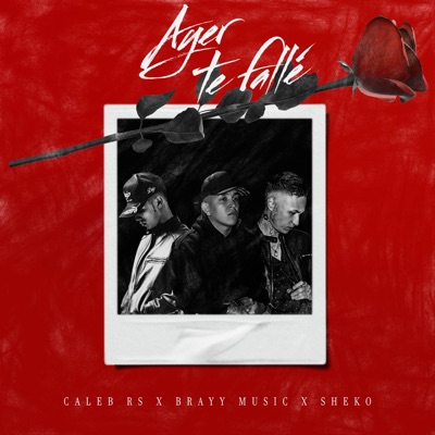 Ayer Te Fallé - Single