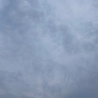 Todo Muere / Todo Duele - Single - Clima Lokal