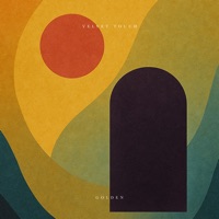 Album cover for Golden by Velvet Touch