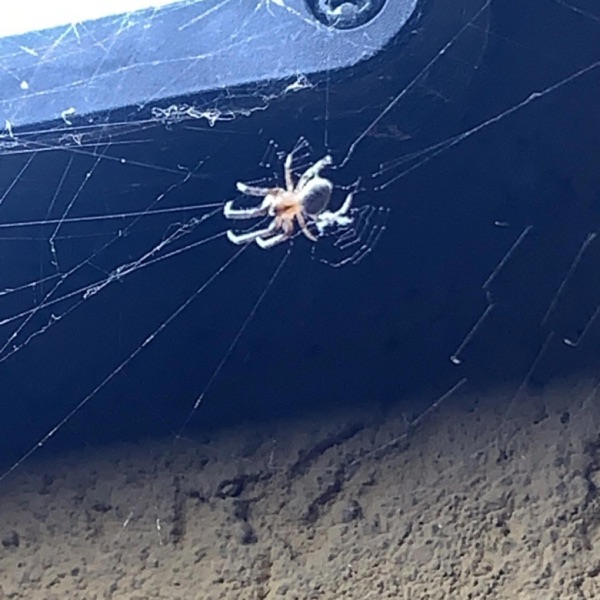 No Way(prodd.kdawnz)