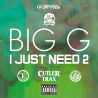 I Just Need 2 - Single - GNP Arrow