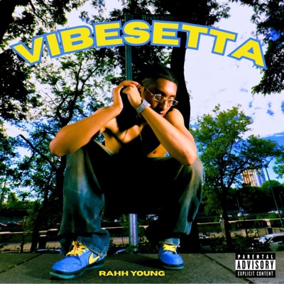 VIBESETTA