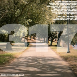 317 Snook