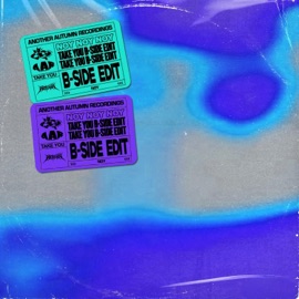 TAKE YOU (B SIDE EDIT) NOY
