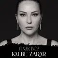 Kalbe Zarar