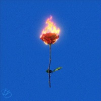 roses (feat. DapperSoL) - Single - Bryson Bates