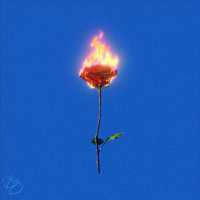 roses (feat. DapperSoL) - Single