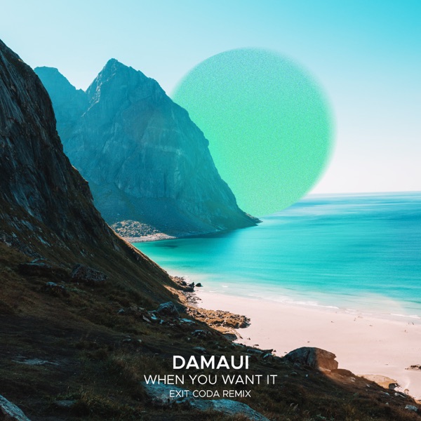 When You Want It (Exit Coda Remix) - Single