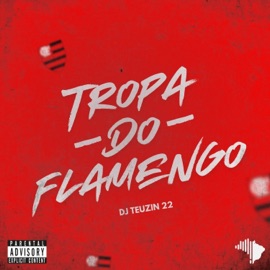 TROPA DO FLAMENGO DJ TEUZIN 22