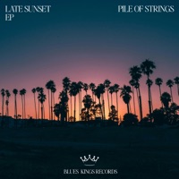 Late Sunset (feat. Nina Nalo, Sensory Meditation, Alma Lin, Flame Timo & Jasper Whisper) - Single - Pile of Strings