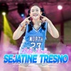 Sejatine Tresno - Single