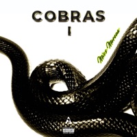 C.O.B.R.A.S I - Miss Morena
