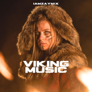 viking music - zaynix