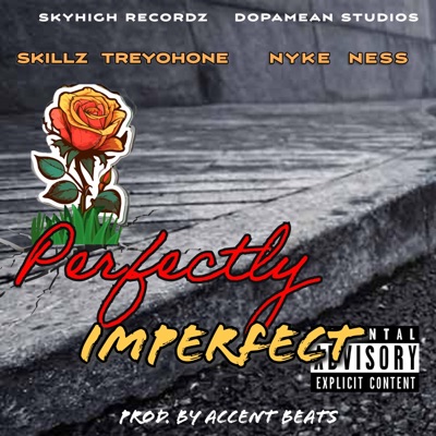 Perfectly Imperfect (feat. Nyke Ness) - Single