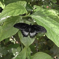 alone together - Single - Recipe.