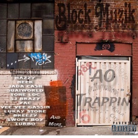 Tha Moment AO Trappin