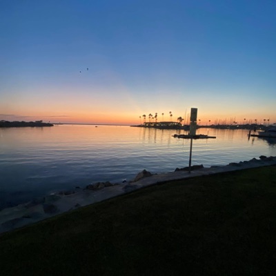 TikTok Audios - Peter Youre Going to DIE