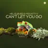 Can't Let You Go
