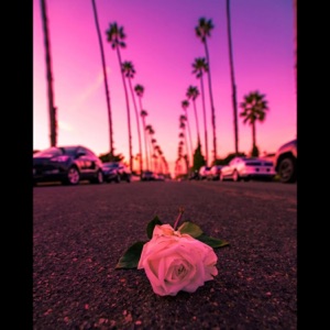 Chill pulse - Single