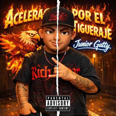 Acelerao Por el tigueraje - Single