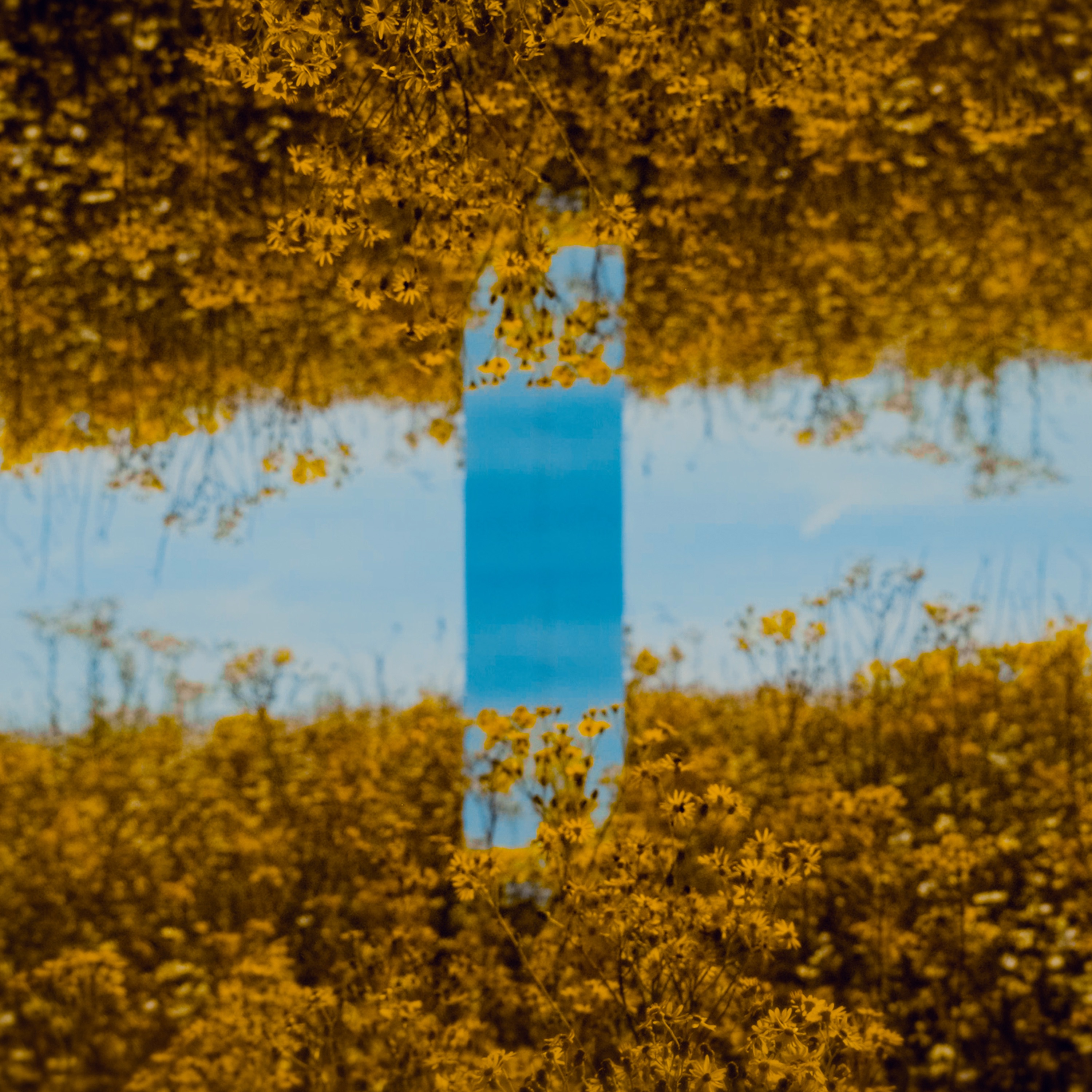 World Of Reflections Remixes - EP