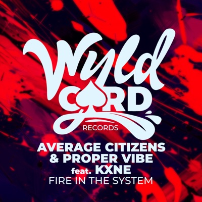 Fire in the System - Single